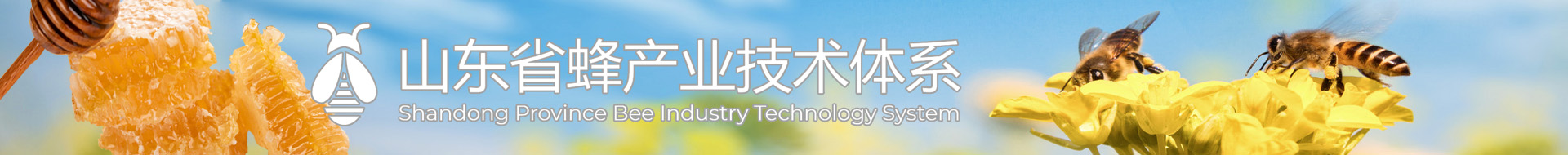 山东省蜂产业技术体系