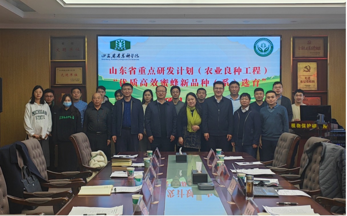 图片 1