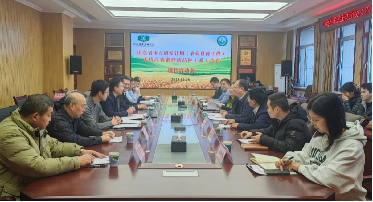 图片 11
